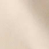 500204 - CREMA